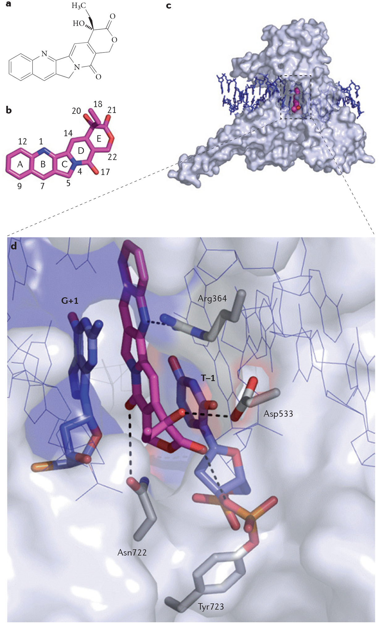 Figure 1 |