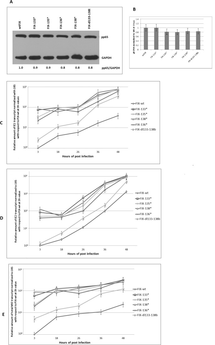 Fig 5