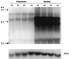 FIG. 7