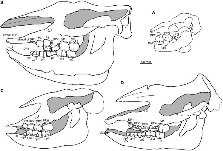 Figure 1