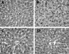 Figure 12.