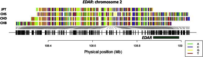 Figure 6