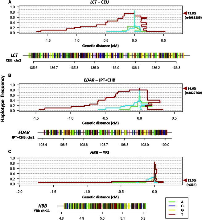 Figure 4