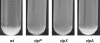 FIG. 5.