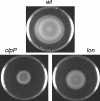 FIG. 4.
