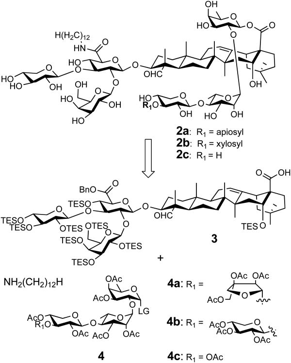 Scheme 1