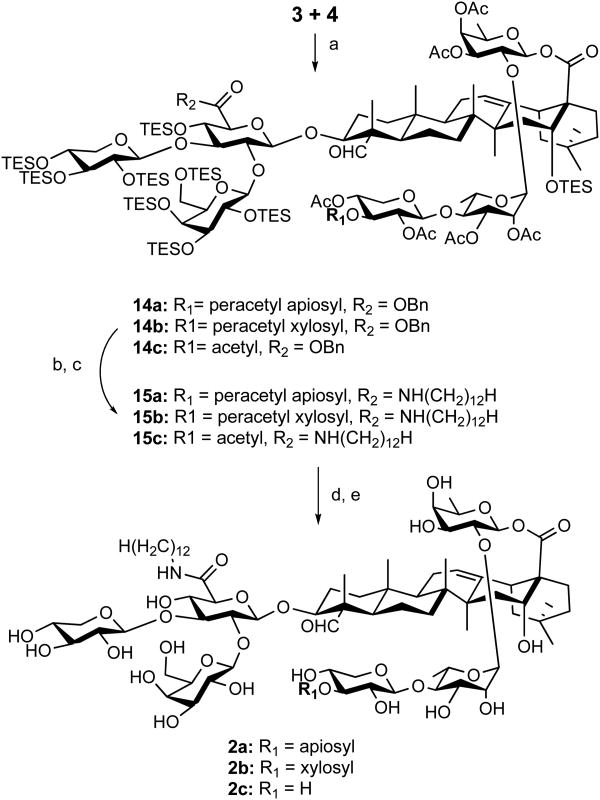 Scheme 3