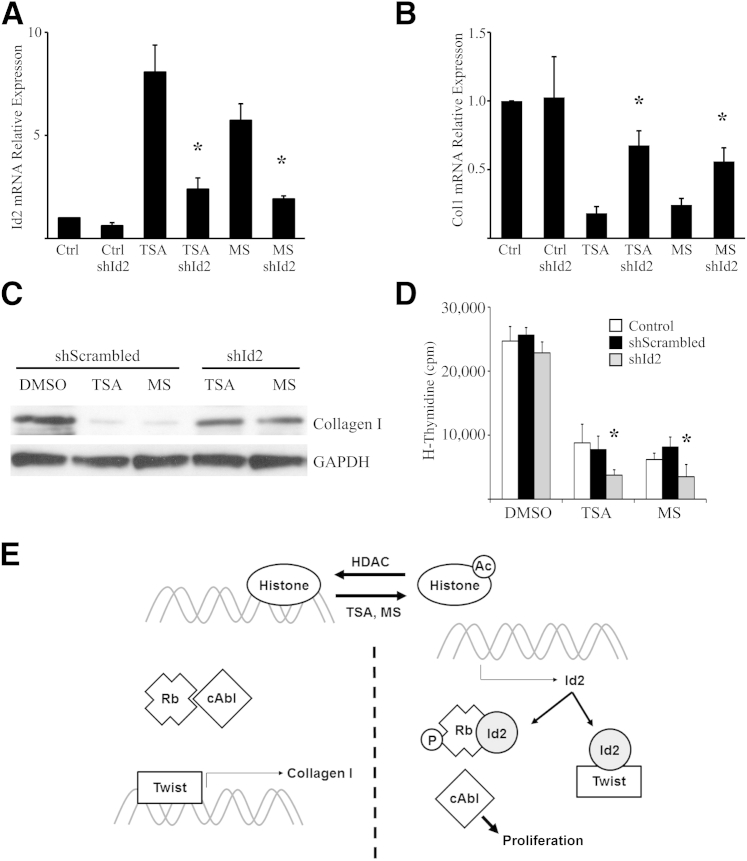 Figure 7