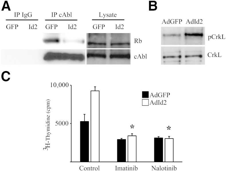 Figure 5