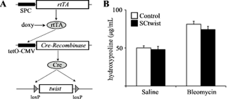 Supplemental Figure S3