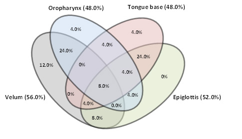 graphic file with name jove-118-54739-3.jpg