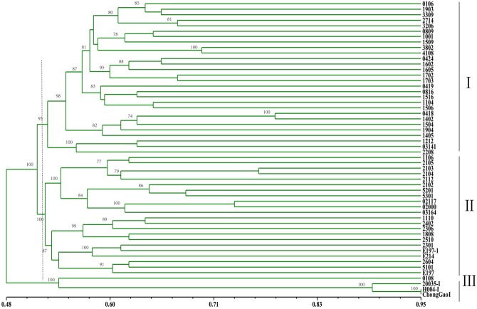 FIGURE 1