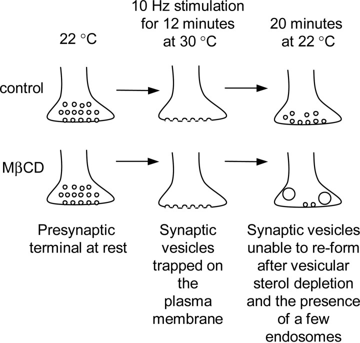 Figure 10.