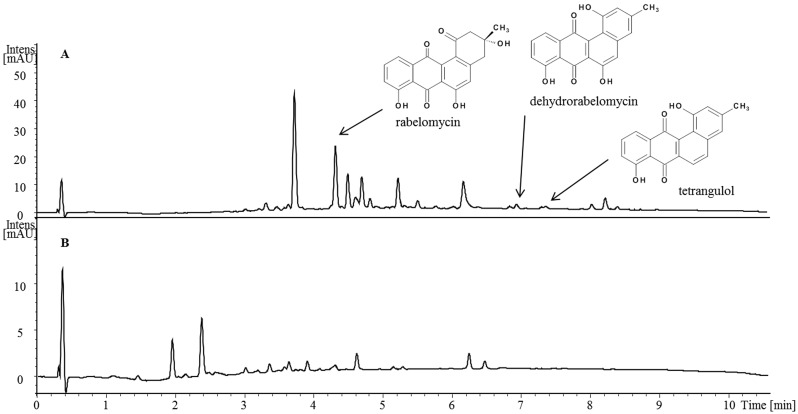 Fig 6