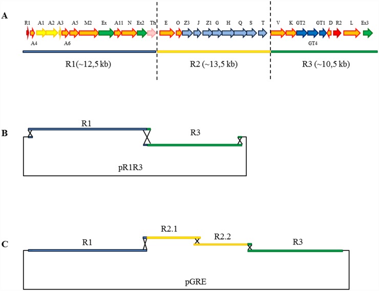 Fig 5