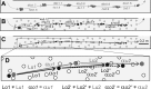 Fig. 9.