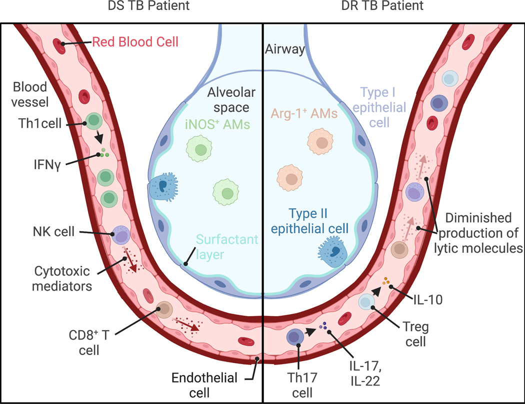 Figure 1-