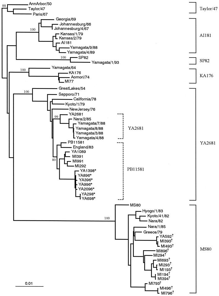 FIG. 2.