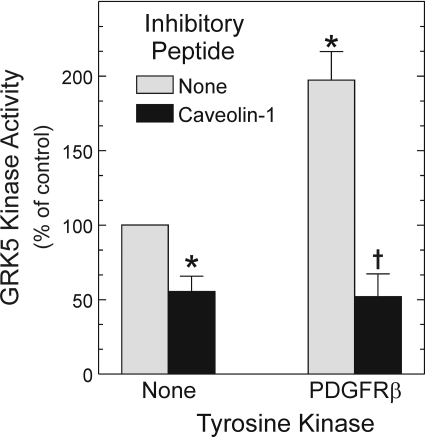 Fig. 10.