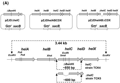 FIG. 6.