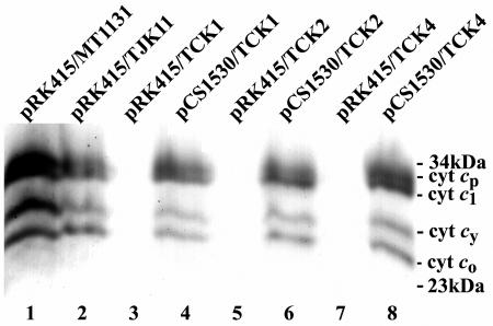 FIG. 5.