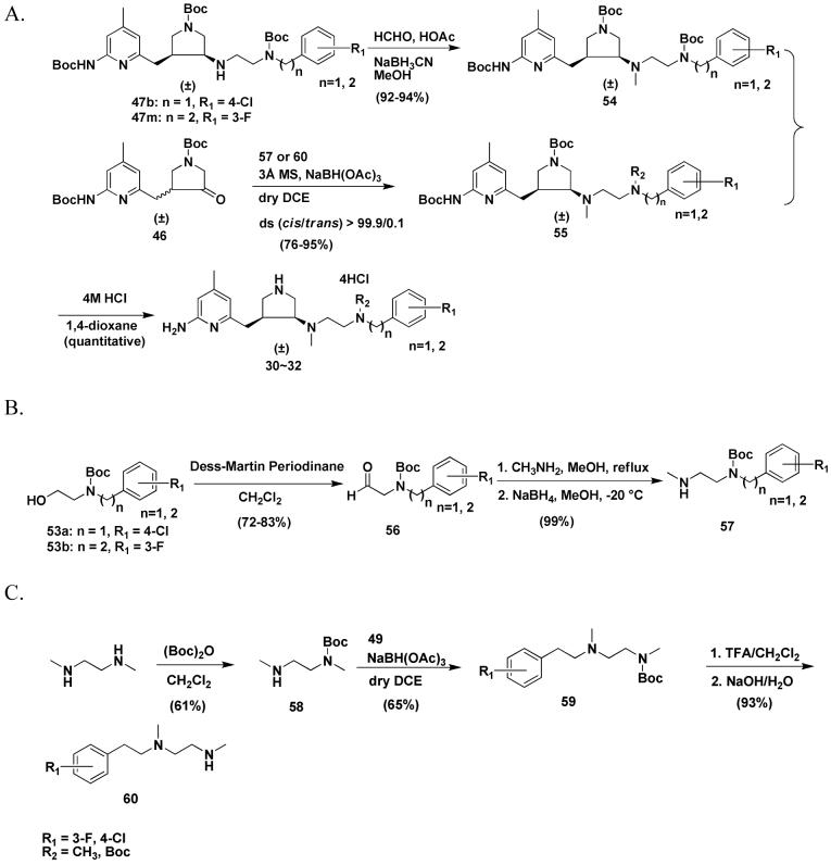 Scheme 3