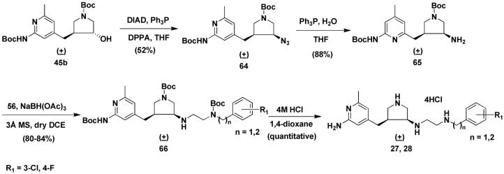 Scheme 5