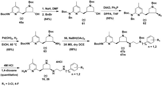 Scheme 4