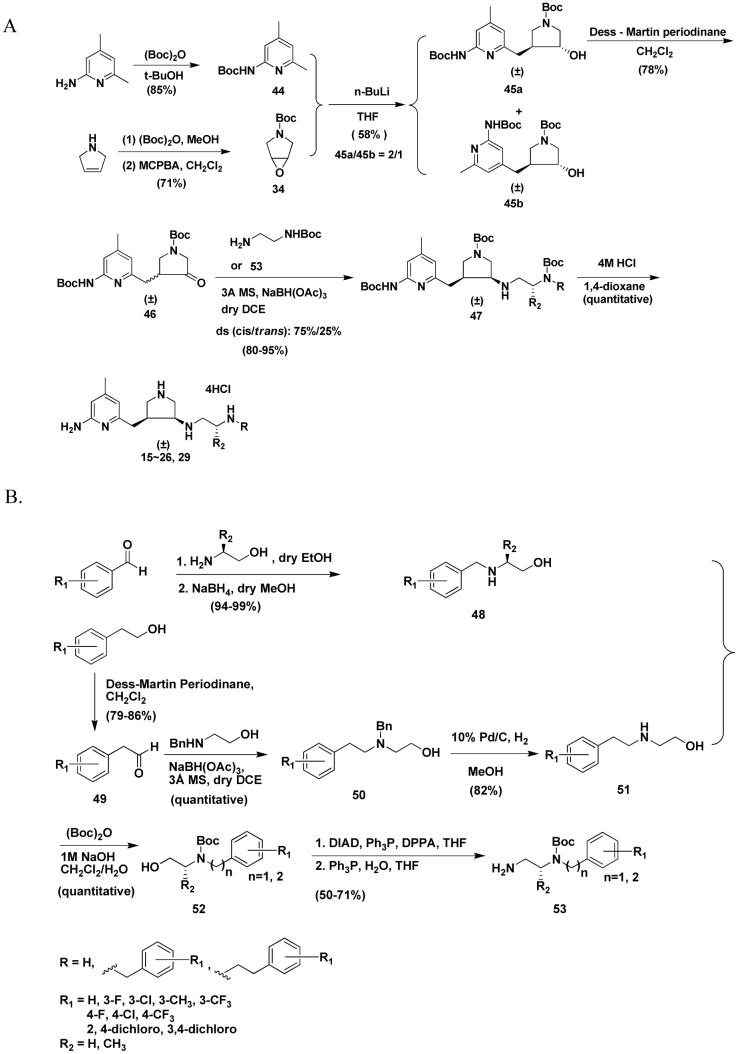 Scheme 2