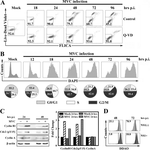 FIG. 1.