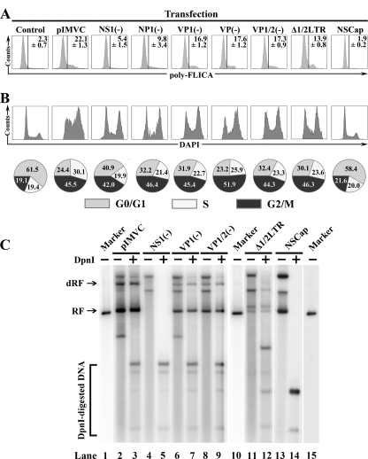 FIG. 3.