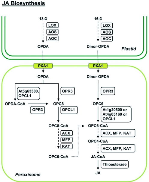 Figure 5.