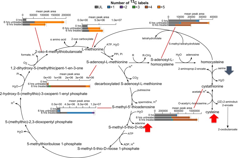 Fig 4