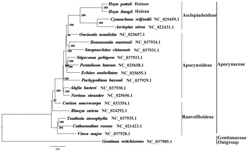 Figure 1.