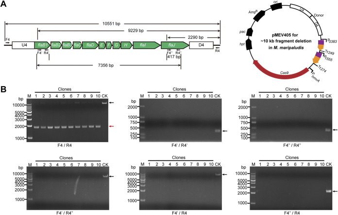 FIG 3