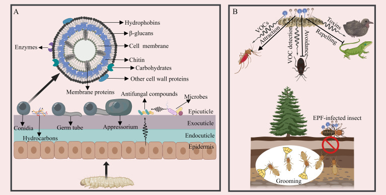 Figure 1