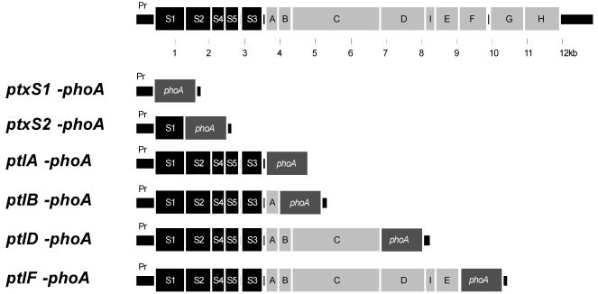 FIG. 4.