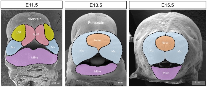 Fig. 2.