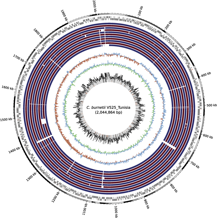 Fig. 2