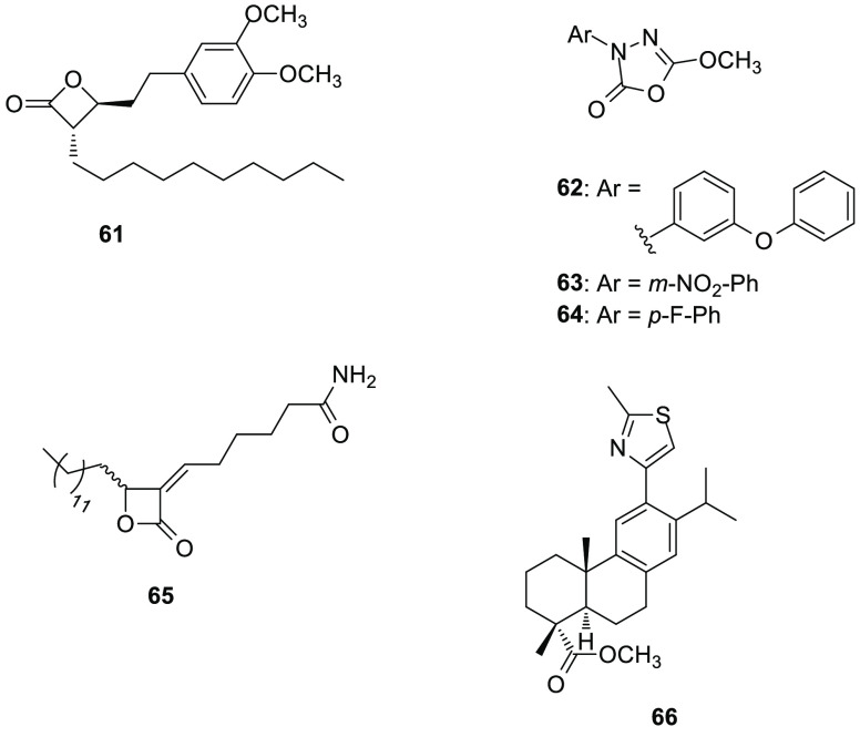 Figure 15