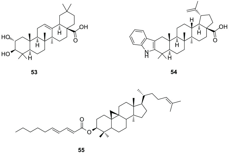 Figure 13