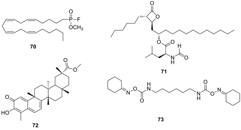 Figure 17