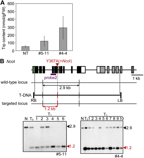 Figure 4.