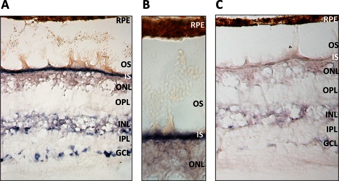 Figure 6.