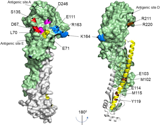 Figure 5