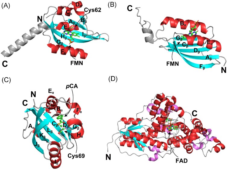 Figure 10.