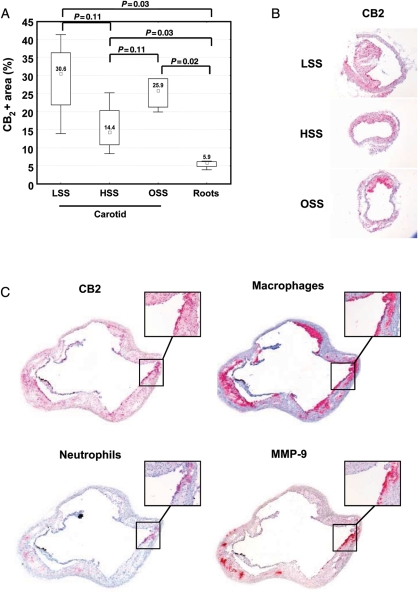 Figure 4