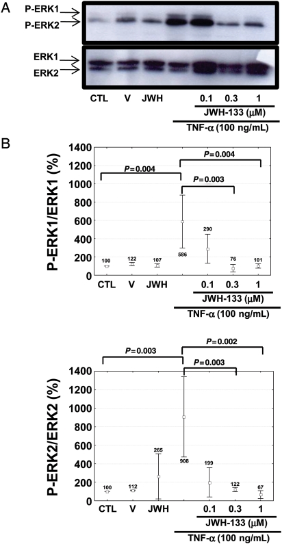 Figure 6