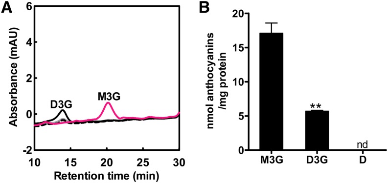 Figure 5.