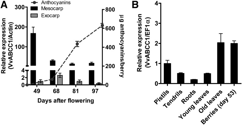 Figure 2.